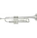 Yamaha YTR-5335GS trobenta